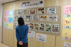 展示